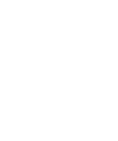 kontrolrapport.png